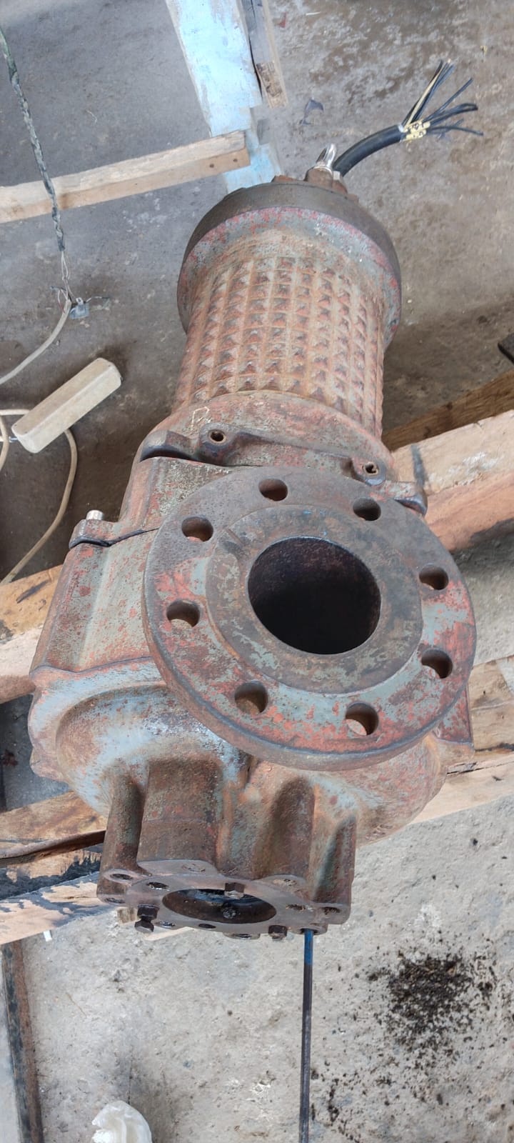 WhatsApp Image 2026-02-27 at 14.38